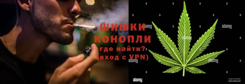 Конопля White Widow  как найти наркотики  Нахабино 